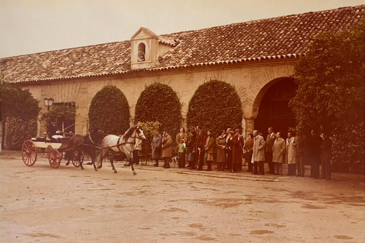 Carruajes y caballos en el patio histórico del centro de Écija